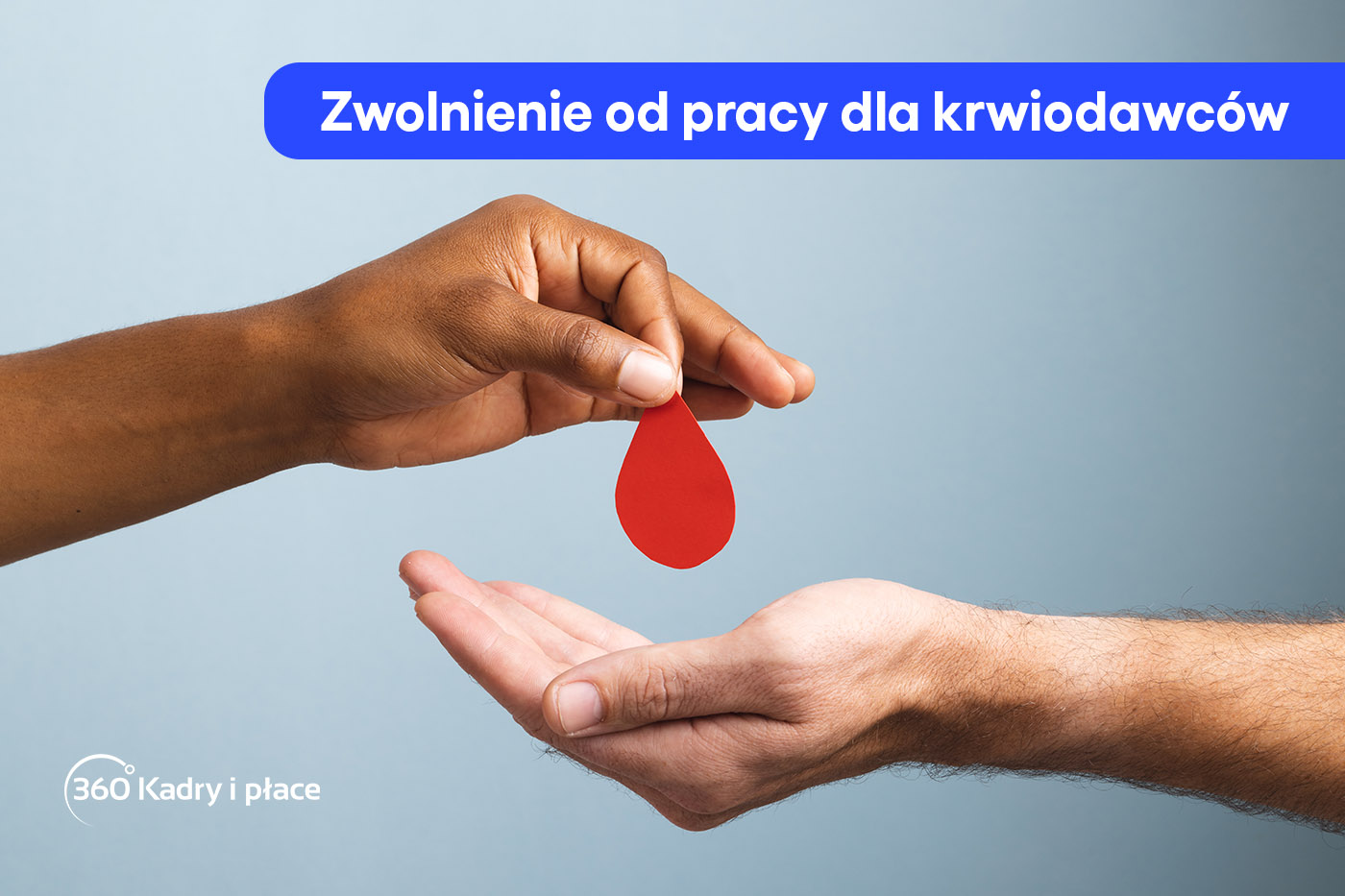 Oddanie krwi a dni wolne od pracy przywileje krwiodawców w pracy