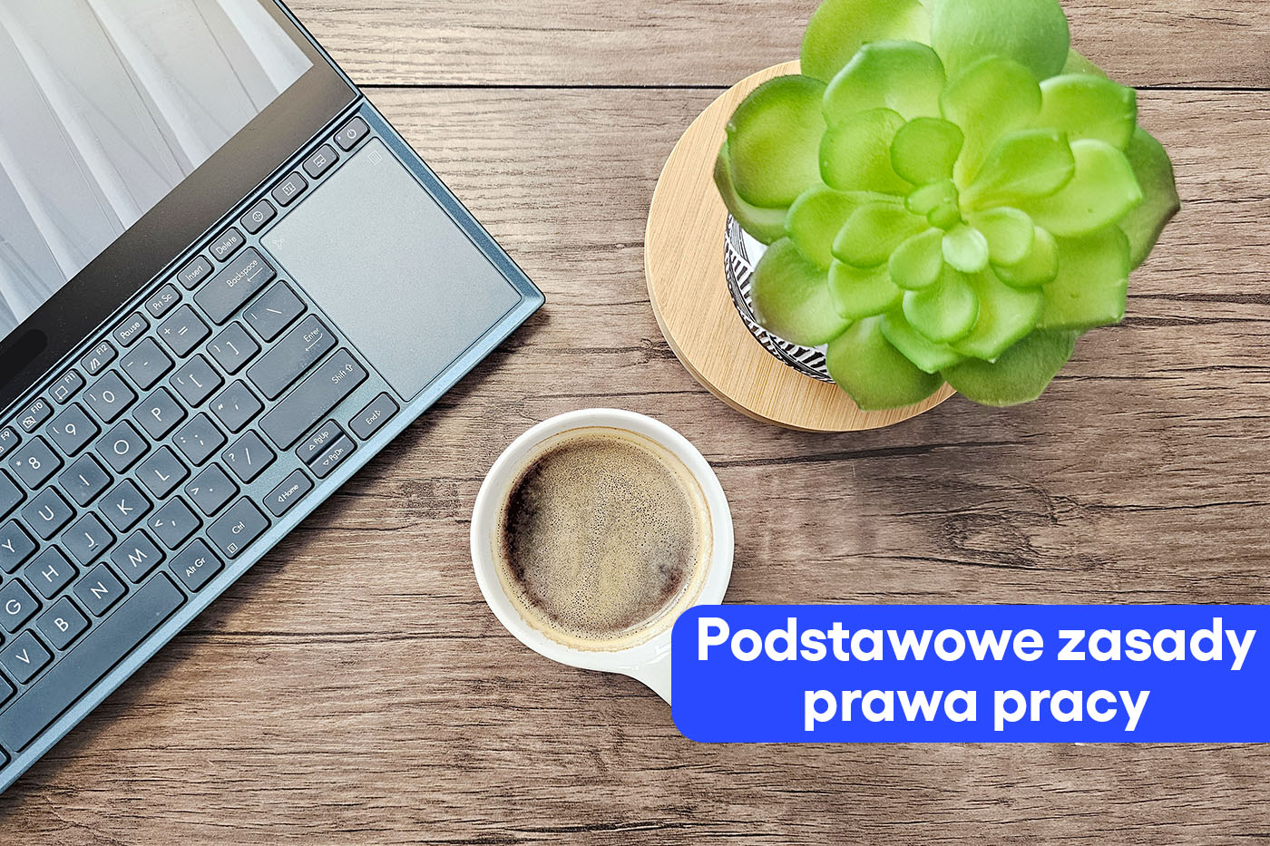 Podstawowe zasady prawa pracy